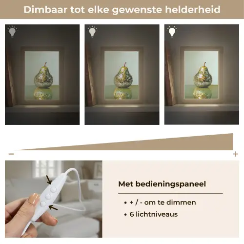 Fruit - Disco - Art - Glitter Light Box met kabel (Tafellamp) klein -USP_dimbaarNL