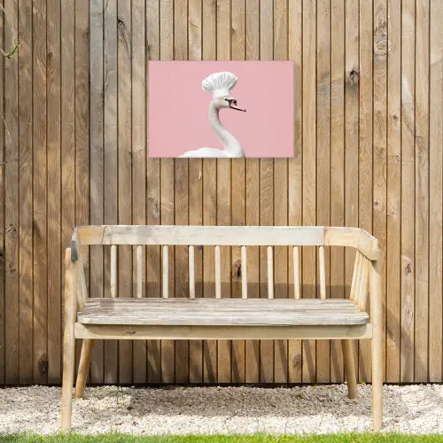 Zwaan - Koksmuts - Mooi - Klassiek Tuinposter op houten frame 2 cm dik klein -sfeer4
