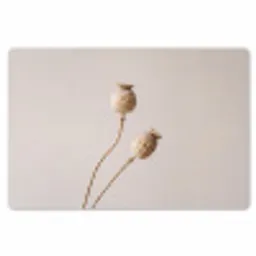 Papaverbollen - Droogbloemen - Minimalistisch - Beige - Rustig Placemat vinyl groot -zzsfeer1_Kitchenyeah-website