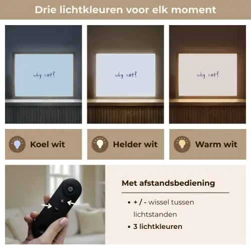 Why not - Blauw - Donker blauw - Quote Light Box met batterij (Wandlamp) middel -USP_lichtkleurNL