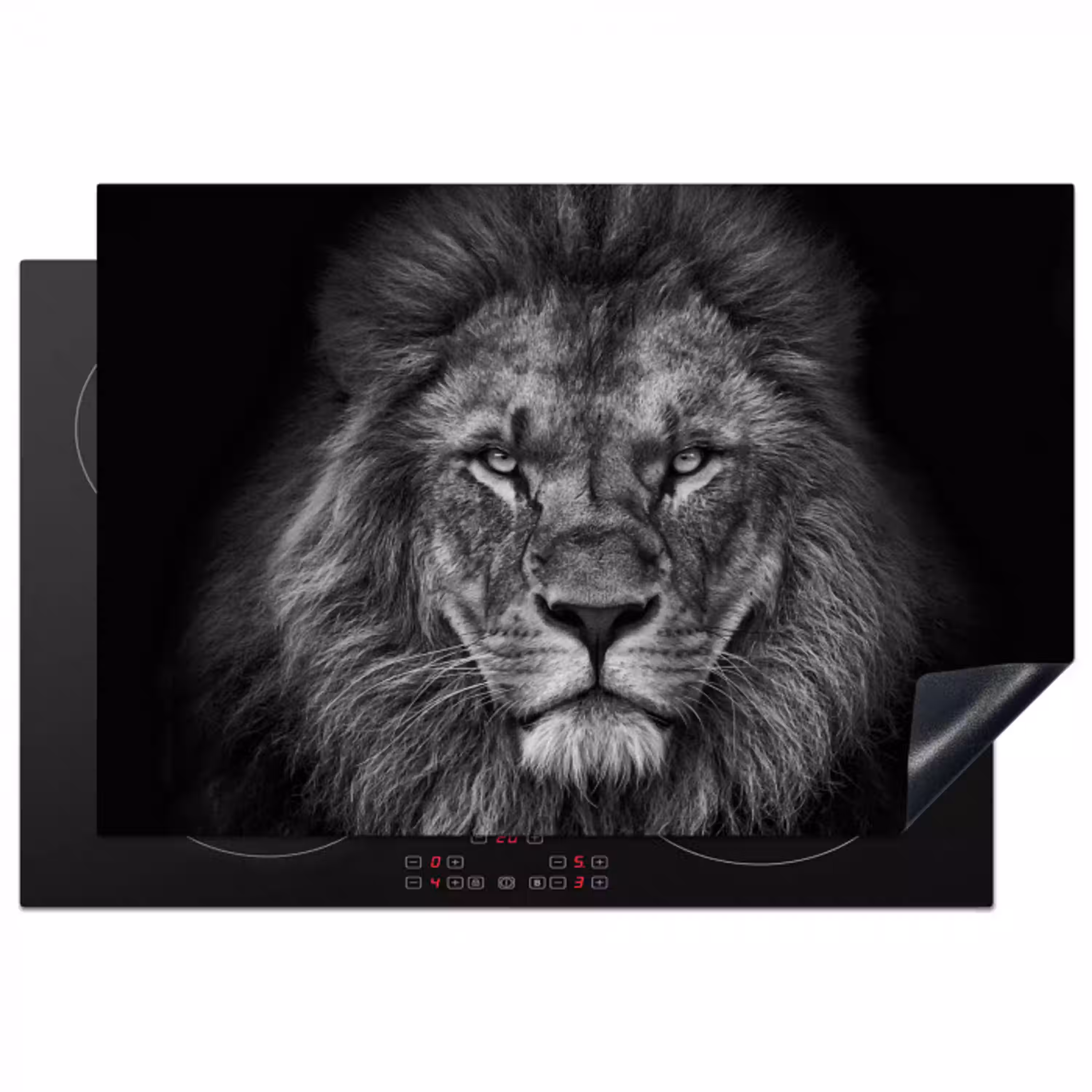 Leeuw - Dieren - Zwart - Wit Inductie beschermer vinyl 3mm klein -3d