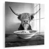 Schotse Hooglander - Spaghetti - Dieren - Zwart wit plexiglas 5mm klein -zzzproduct_nieuw