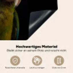 Ara - Portret - Groen Inductie beschemer met haakjes klein -ky-onderkant-de