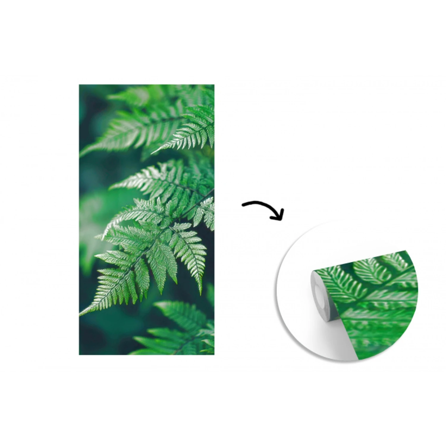 Varenblad - Groen - Structuur - Wazig fotobehang vinyl groot -3d