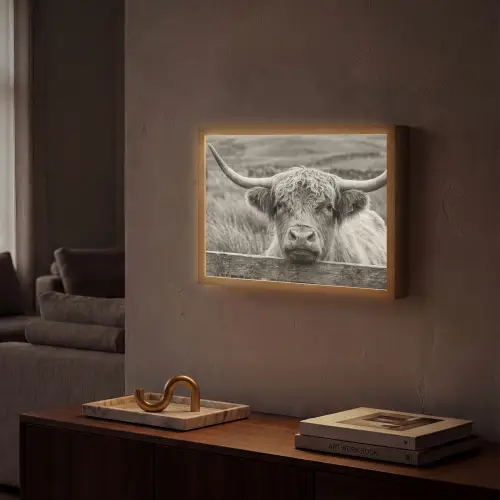 Schotse hooglander - Zwart - Wit - Hout Light Box met batterij (Wandlamp) middel -sfeer1