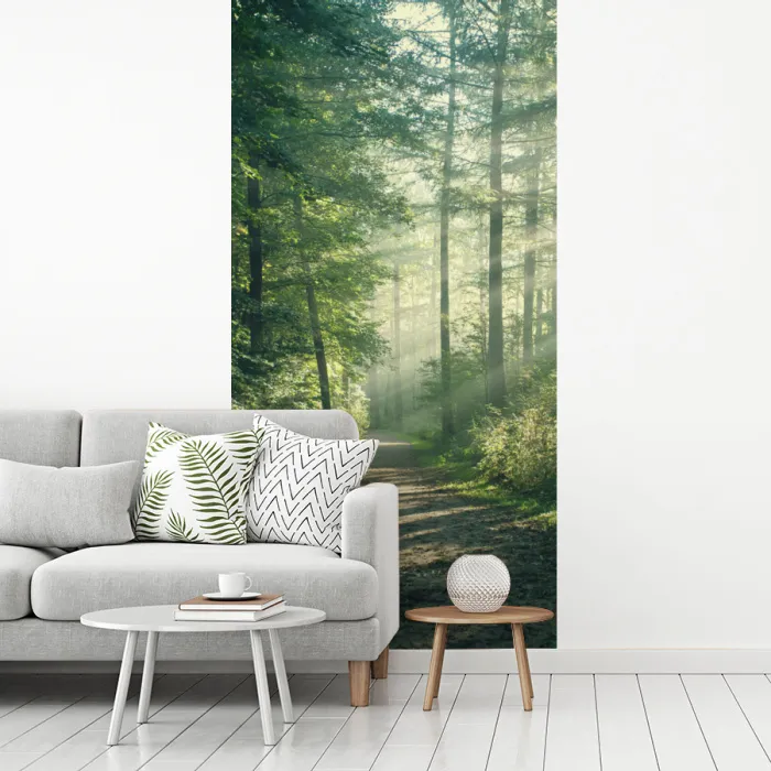 Bos - Pad - Zon - Bomen - Groen - Natuur fotobehang vinyl groot -woonkamer