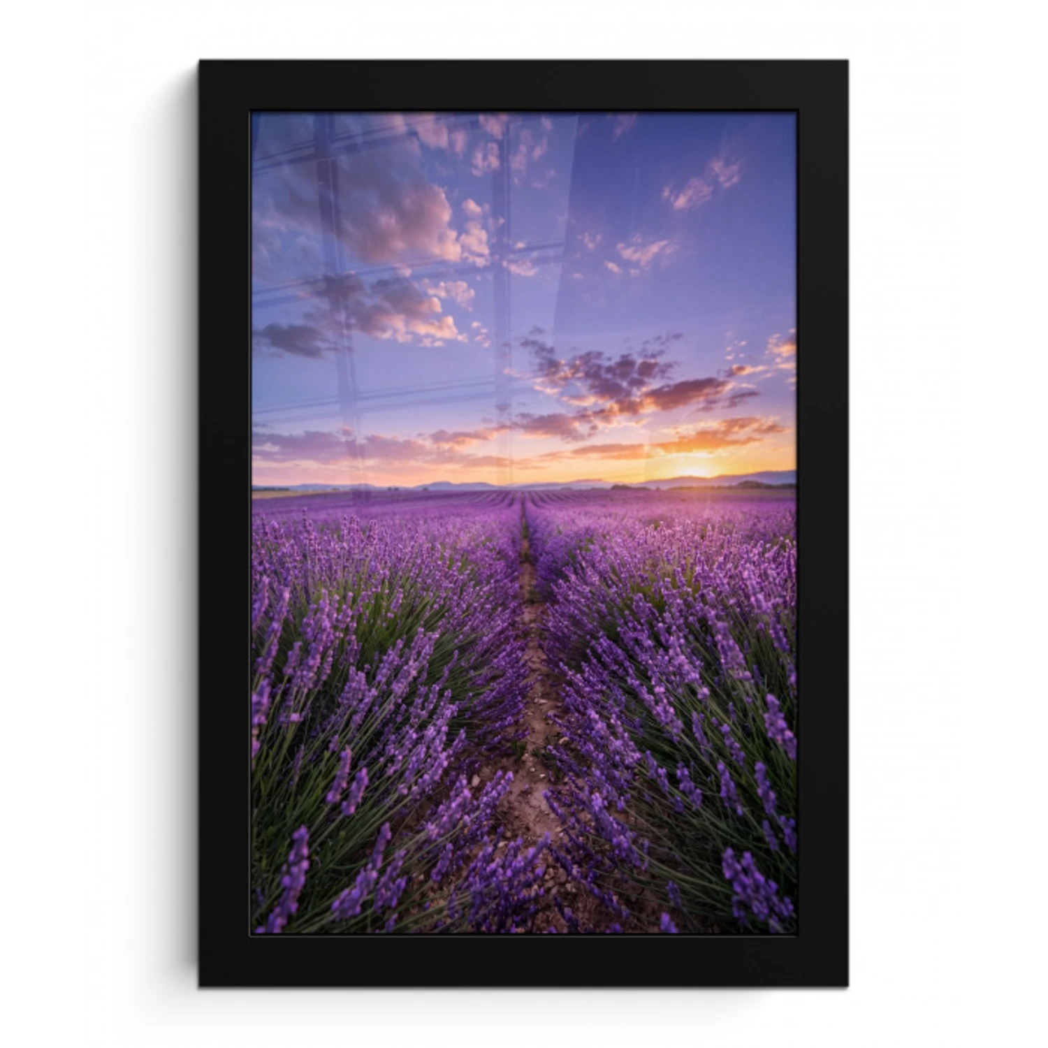 Lavendel - Veld - Natuur - Paars fotolijst zwart zonder passe partout klein -3d