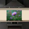 Aster - Paars - Bloem - Blaadjes keuken achterwand spatscherm klein -sfeer1