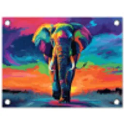 Olifant - Kleurrijk - Lucht - Abstract tuinposter los doek klein -3d