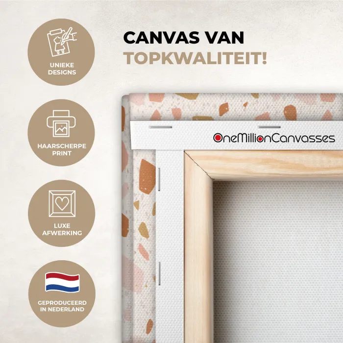 Terrazzo -  Patroon - Kleurrijk - Zalm canvas 2cm xxl 828 -sfeer2