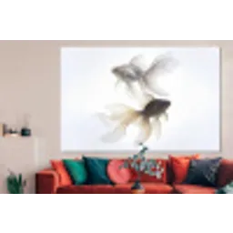 Goudvissen - Modern - Wit forex 5mm xxl -woonkamer
