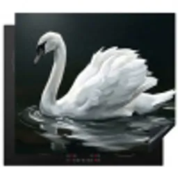 Zwaan - Water - Natuur - Realistisch - Wit Inductie beschermer vinyl 3mm middel -3d