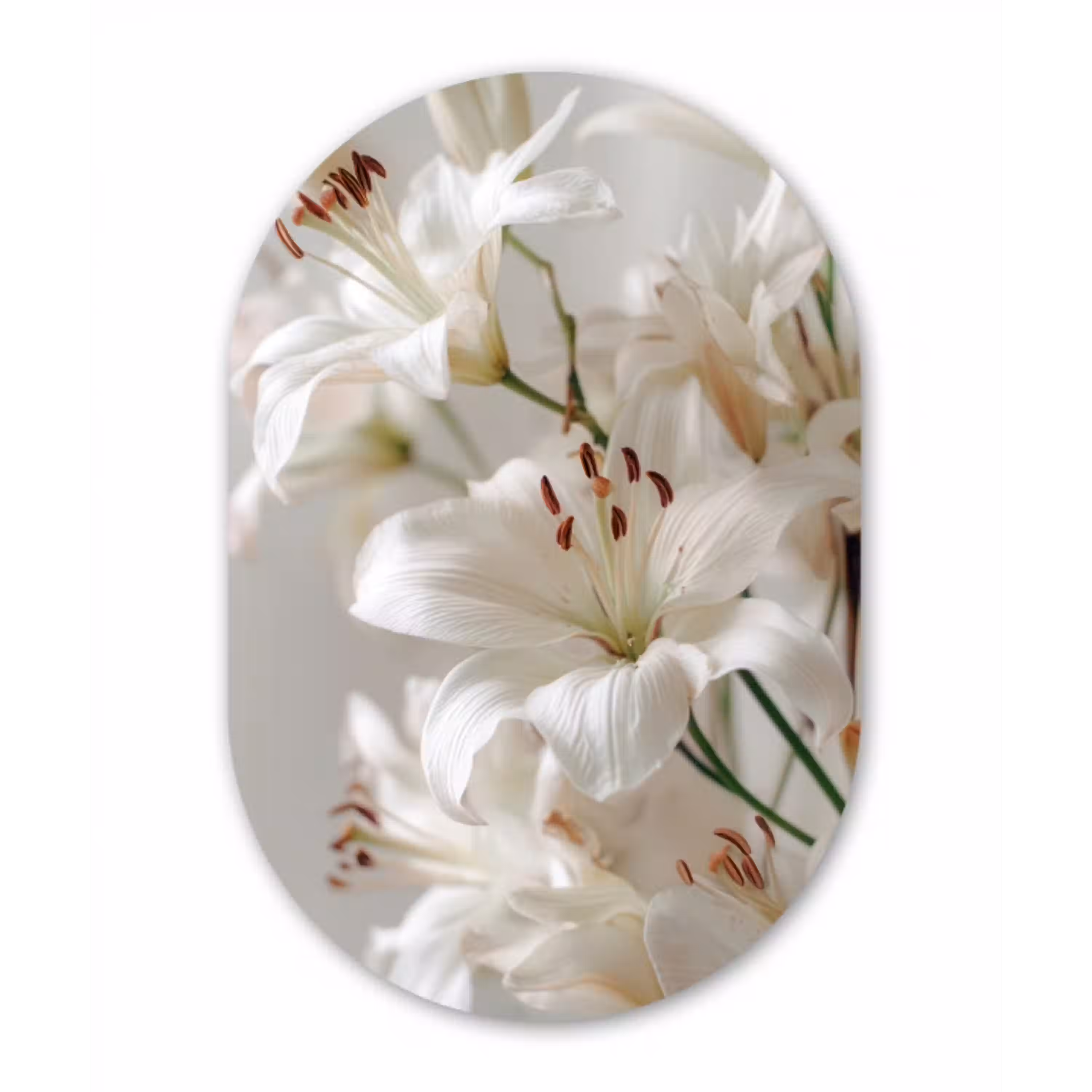Lelies - Boekte - Wit - Meeldraden Wandcirkel Ovaal Aluminium middel -3d