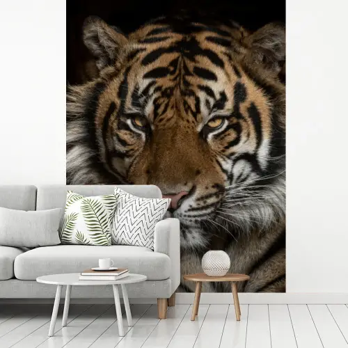 Tijger - Wilde dieren - Portret fotobehang vinyl groot -woonkamer