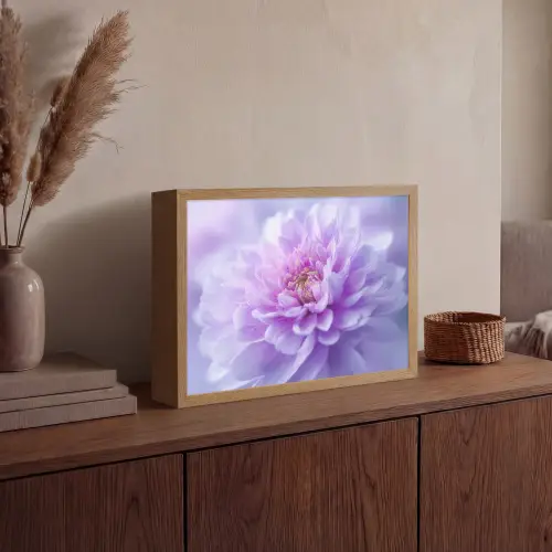 Paars - Dahlia - Dromerig Light Box met batterij (Wandlamp) middel -sfeer2