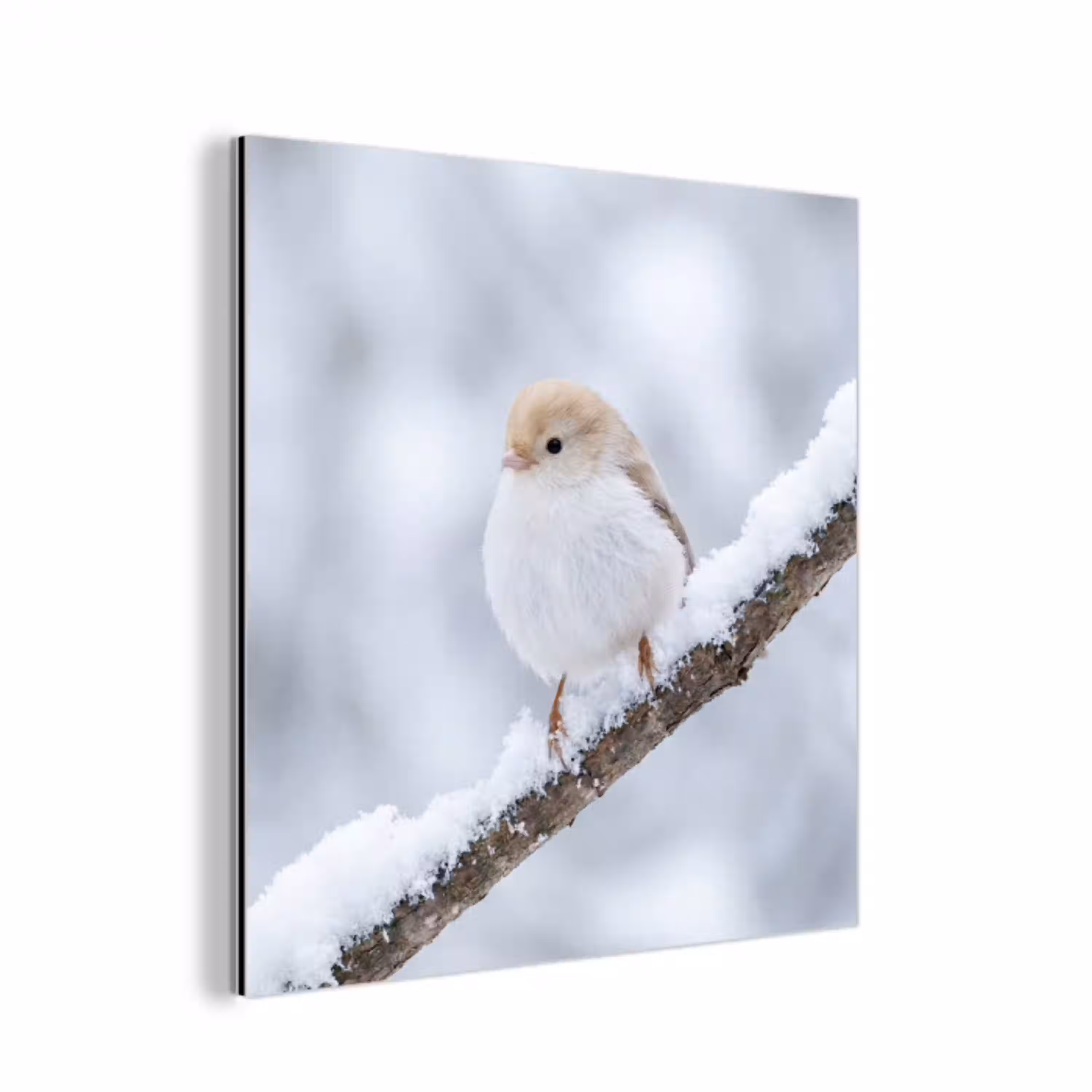 Vogeltje - Sneeuw - Tak - Winter - Zacht aluminium wit klein -3d