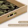 Botanisch - Bladeren - Groen Dienblad Rechthoek middel 911 -USP_HandgreepNL