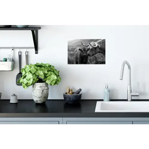 Schotse hooglander - Kalf - Zwart - Wit Muursticker klein -keuken
