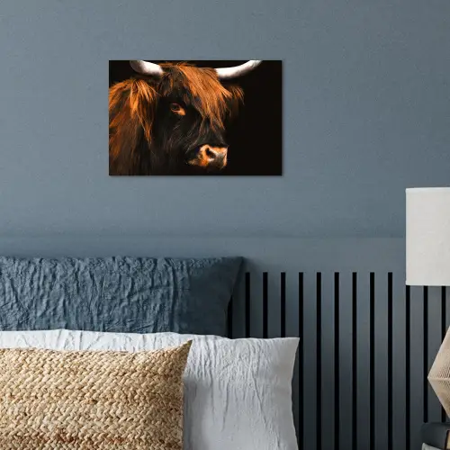 Schotse hooglander - Zwart - Koe - Hoorn - Dieren poster papier klein -sfeer2
