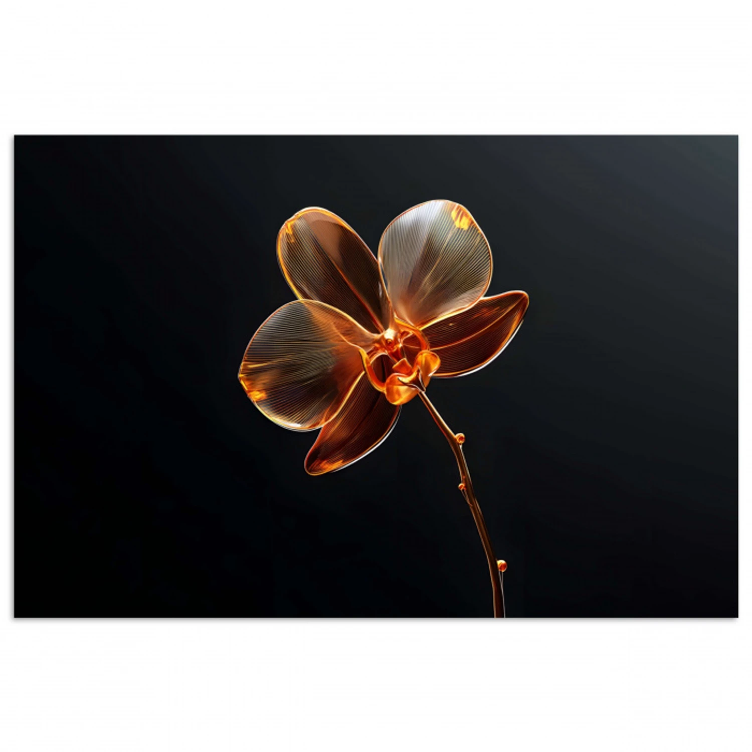 Orchidee - Doorzichtig - Bloem poster papier klein -3d