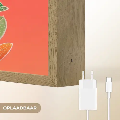 Bladeren - Nerven - Oranje - Structuur Light Box met batterij (Wandlamp) middel -USP_websiteoplaadbaarNL