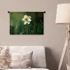 Narcis - Bloem - Wit - Grassprieten Wandkleed katoen klein -sfeer4