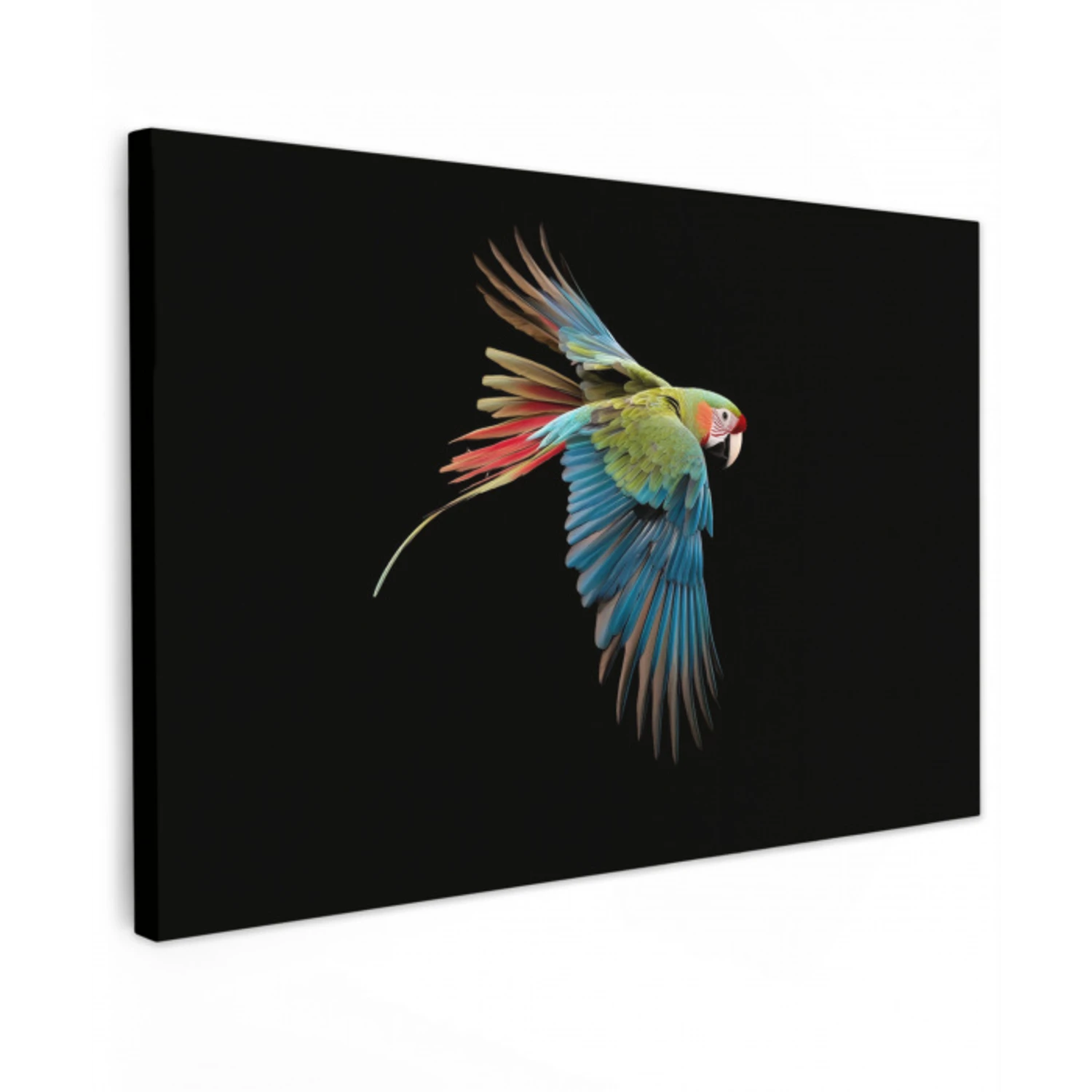 Papegaai - Kleurrijk - Vleugels - Sierlijk Tuinposter op houten frame 2 cm dik klein -3d