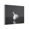 Knoflook - Zwart - Wit PET vilt klein -3d