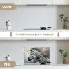 Zebra - Wilde dieren - Vlinder - Bloemen keuken achterwand spatscherm klein -voor_na_NL