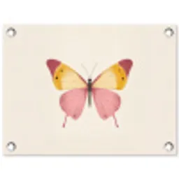 Vlinder - Illustratie - Roze tuinposter los doek klein -3d