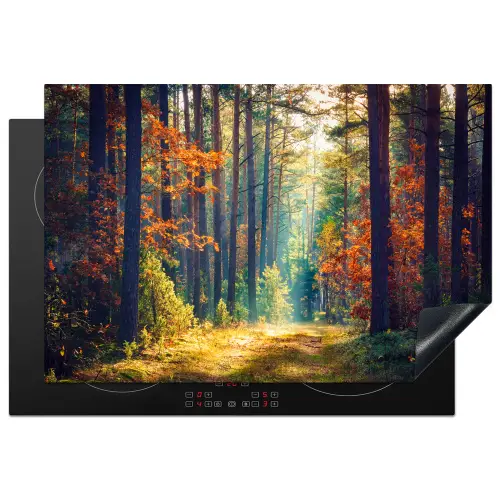 Bos - Zon - Natuur - Herfst Inductie beschermer vinyl 3mm klein -3d