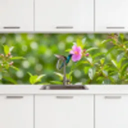 Kolibrie - Bloem - Natuur - Groen keuken achterwand 2 middel -3d