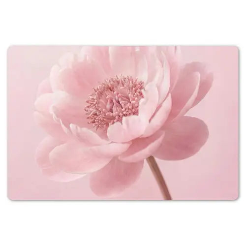 Bloem - Pioenroos - Roze Placemat vinyl groot -zzsfeer1_Kitchenyeah-website