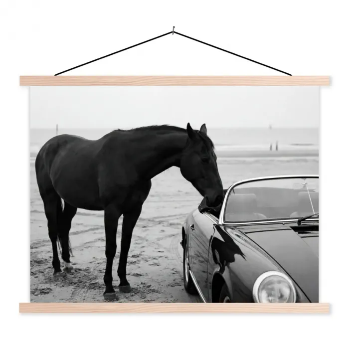 Paard - Auto - Zwart - Wit textielposter latten blank klein -3d