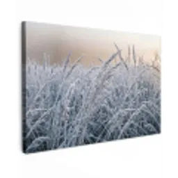 Rijp - Gras - Kristallen - Winter - Minimalistisch canvas 2cm klein -z3d