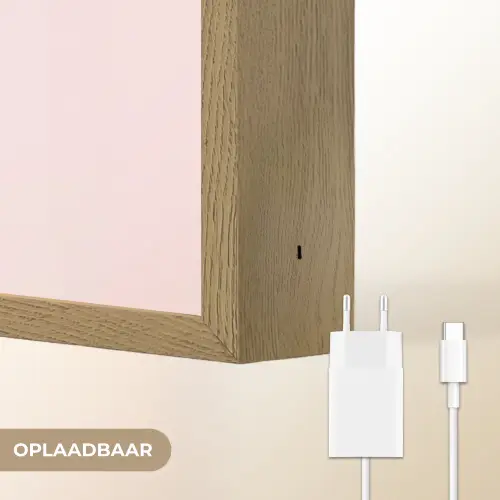 Trofee - Best Mom - Bloemen - Kleurrijk Light Box met batterij (Wandlamp) middel -USP_websiteoplaadbaarNL