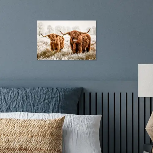 Schotse hooglander - Koe - Natuur - Winter poster papier klein -sfeer2