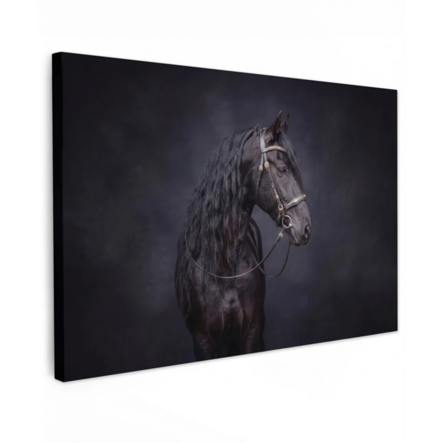 Portret - Paard - Donker Tuinposter op houten frame 2 cm dik klein -3d