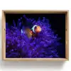 Koraal - Vis - Oranje - Zee Dienblad Rechthoek middel -z3d_shopping
