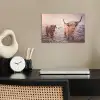 Schotse hooglanders - Licht - Lucht - Natuur poster papier klein -sfeer1