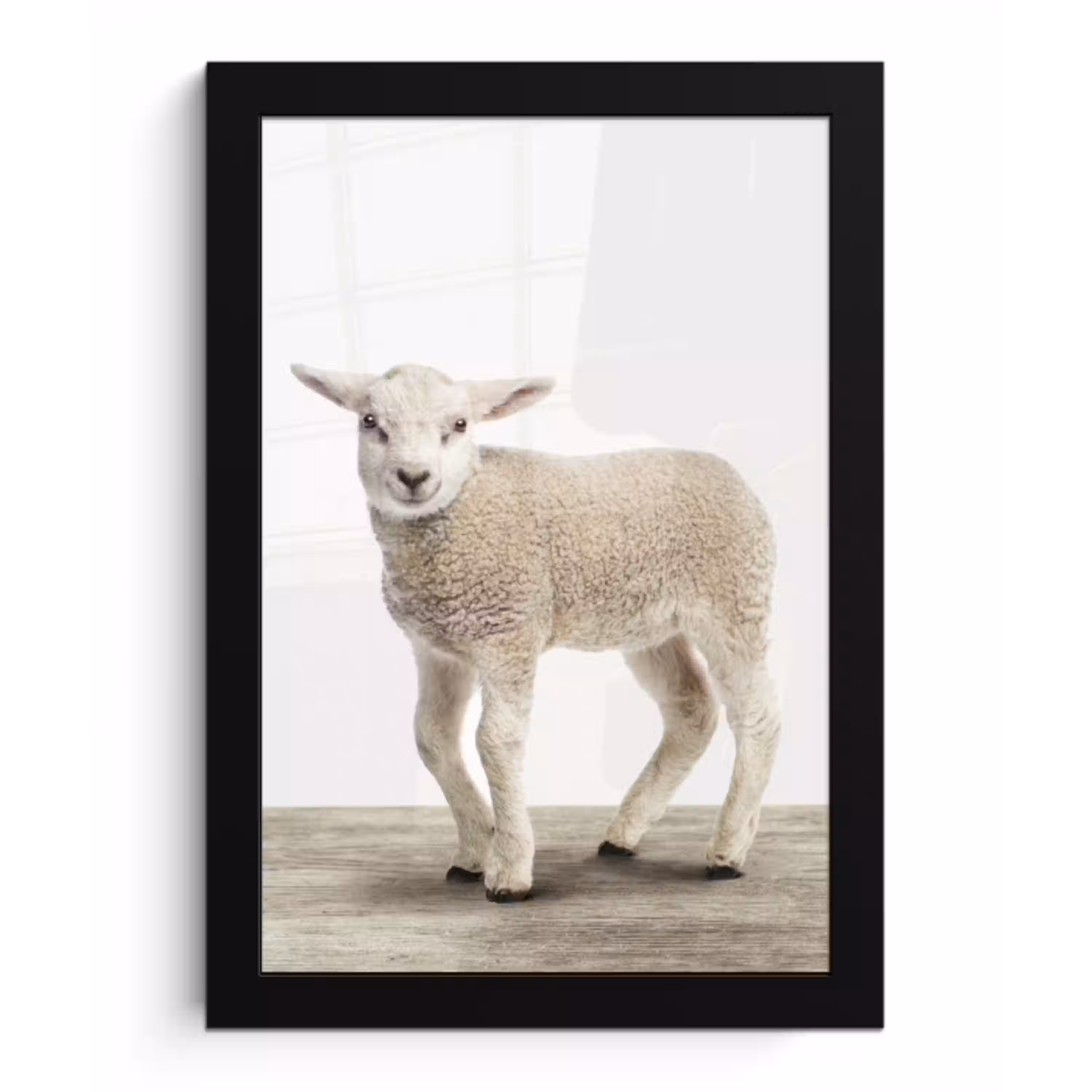Lammetje - Schaap - Dieren - Kinderen - Meisjes - Jongens fotolijst zwart zonder passe partout klein -3d