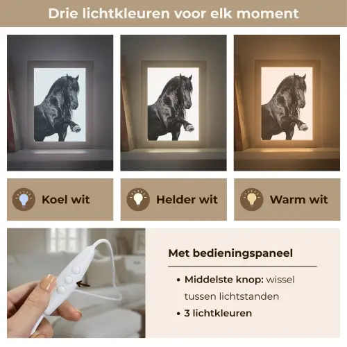 Fries - Hengst - Modern Light Box met kabel (Tafellamp) klein -USP_lichtkleurNL