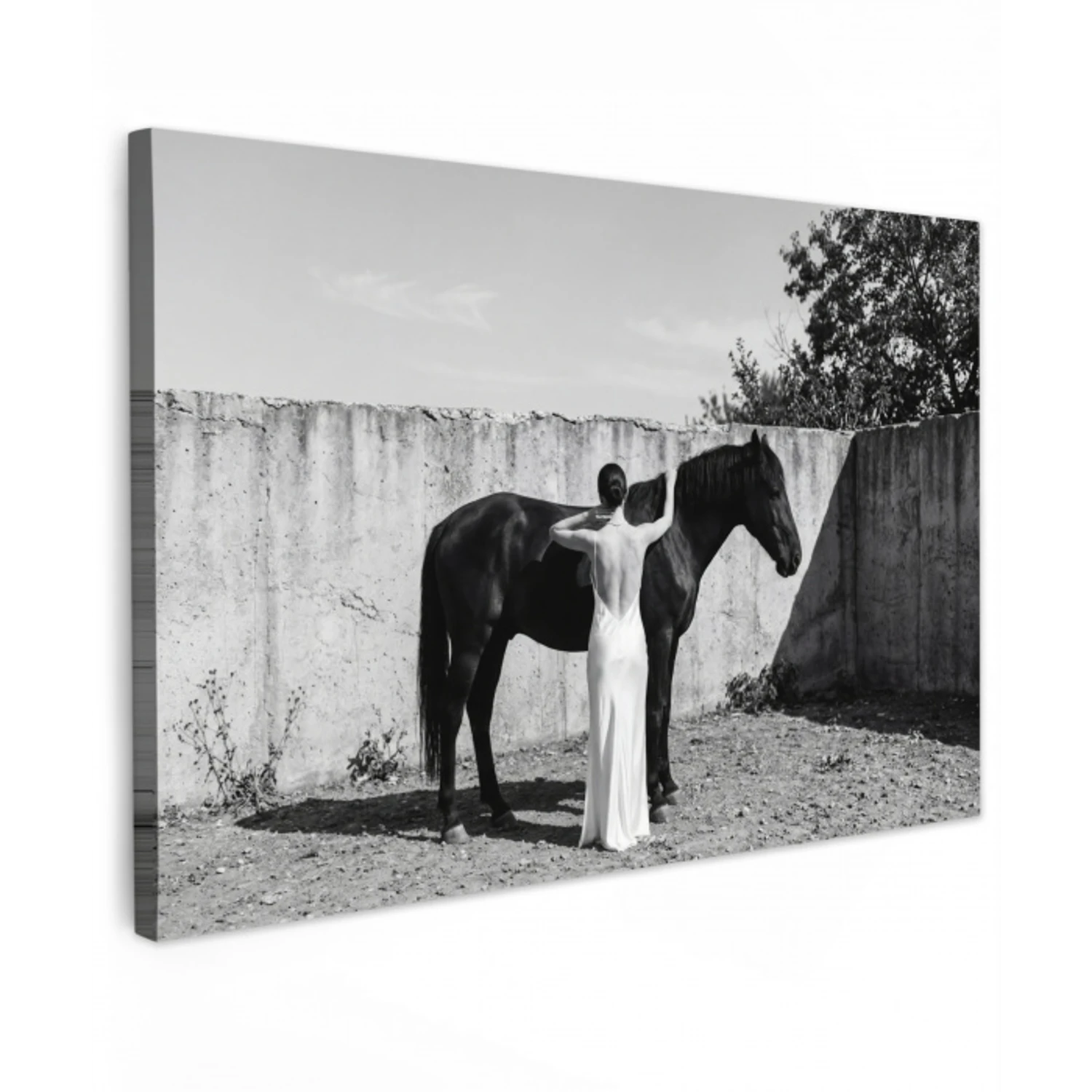 Vrouw - Paard - Artistiek Tuinposter op houten frame 2 cm dik klein -3d