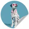 Dalmatiër - Zonnebril - Blauw Wandcirkel behangsticker klein -3d
