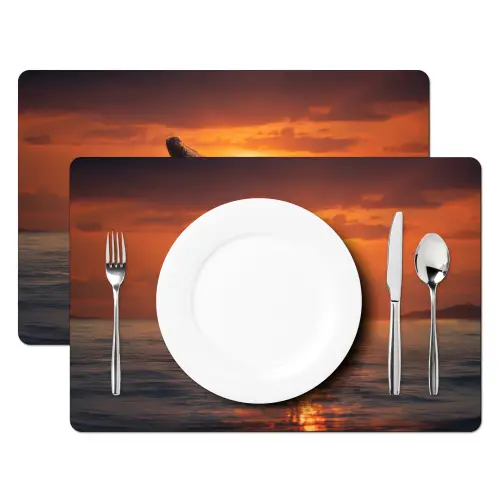 Walvis - Zon - Zee Placemat vinyl groot -zzsfeer2_Kitchenyeah-website