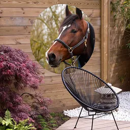 beeld-ronde-tuinposter-6.png