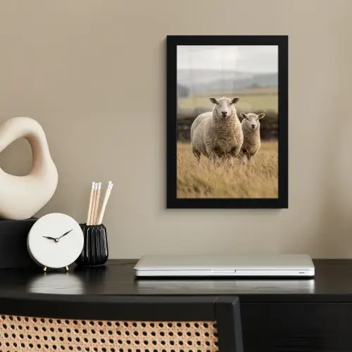 Schapen - Weidenlandschap - Heuvels fotolijst zwart zonder passe partout klein -sfeer1