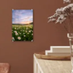 Madelief - Veld - Heuvels - Groen plexiglas 5mm klein -sfeer5