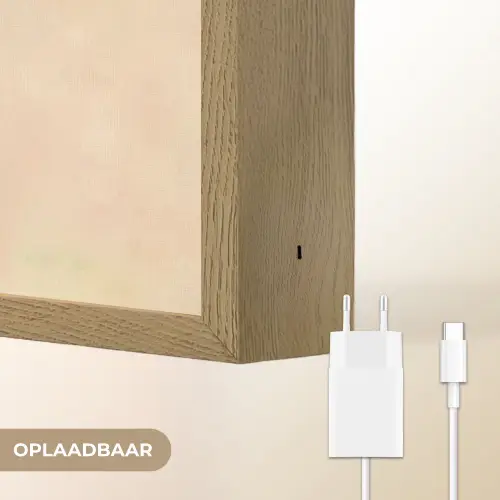 Minimalistisch - Bloem - Bladeren - Beige Light Box met batterij (Wandlamp) middel -USP_websiteoplaadbaarNL