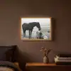 Paard - Auto - Zwart - Wit Light Box met batterij (Wandlamp) middel -sfeer4